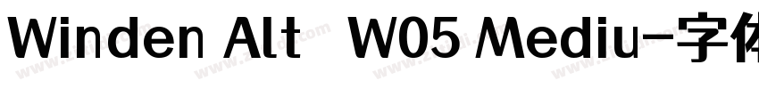 Winden Alt W05 Mediu字体转换